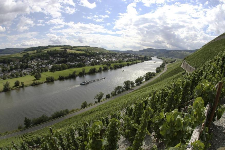 Weingut Fehres Brauneberg Exterior foto